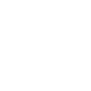 DGLR_Logo_Negativ_white